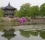 20080425_Seoul_100.jpg