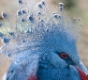 20080602_Servion_042.jpg