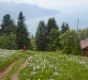 20090601_Caux_013.jpg