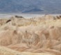 20090621_Death_Valley_066.jpg