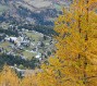 20101030_Saviese_0029.jpg